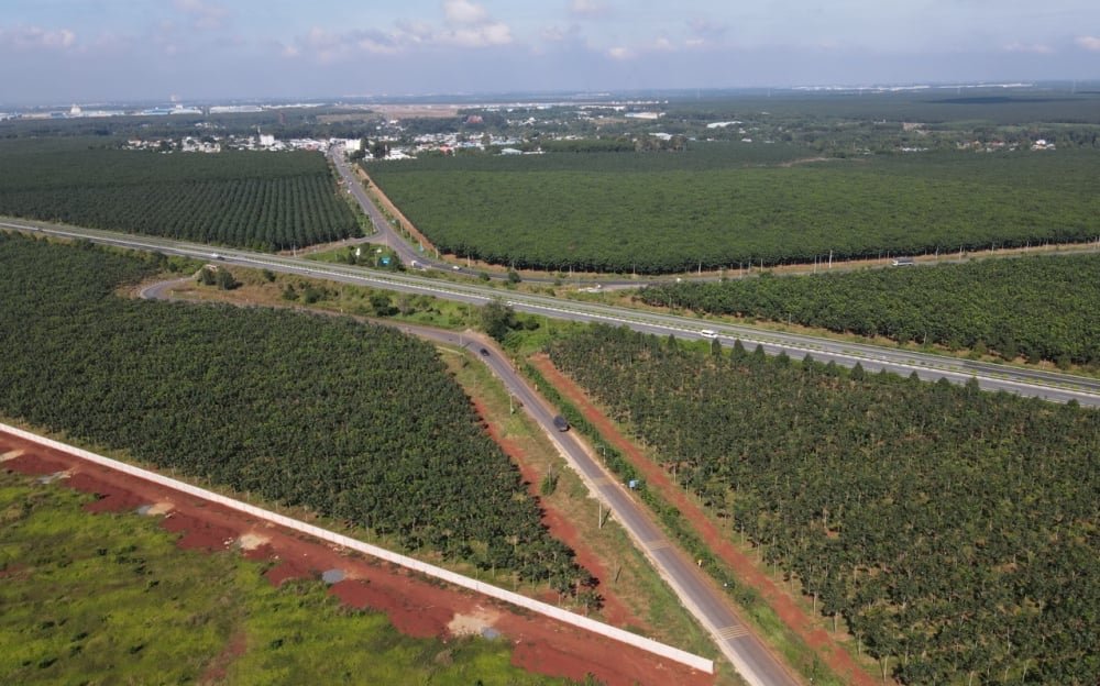 Đồng Nai mở rộng tuyến đường dài 39km kết nối với sân bay- Ảnh 1.
