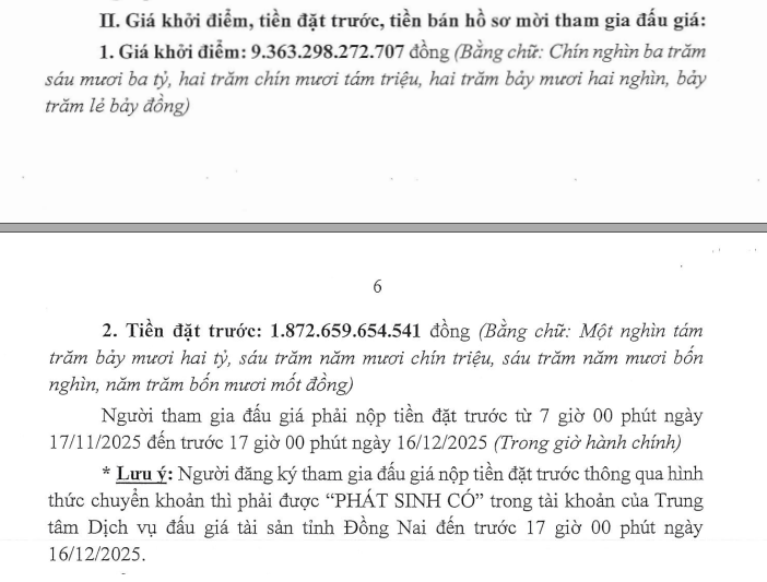 Những con số “khủng” từ khu đất sắp đấu giá ở Đồng Nai- Ảnh 2. Những con số “khủng” từ khu đất sắp đấu giá ở Đồng Nai- Ảnh 2.