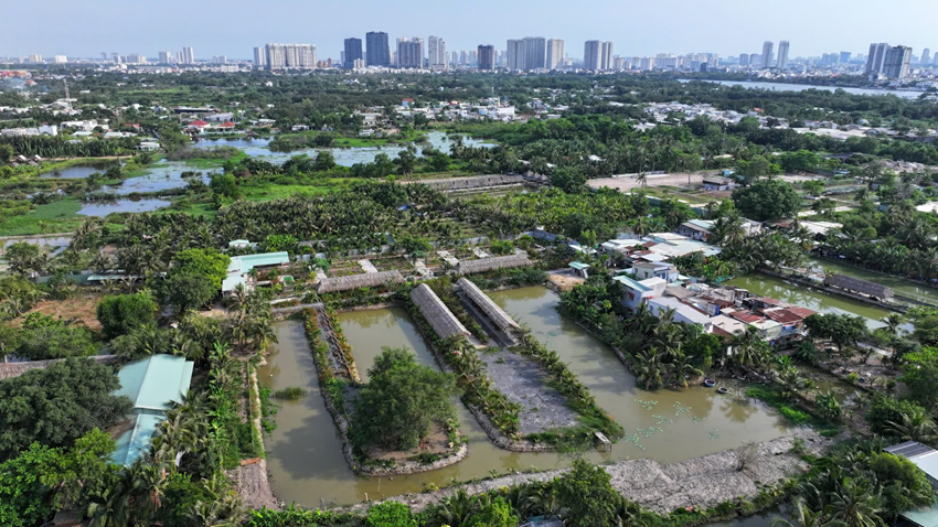 Luật Quy hoạch 2025: 3 lợi ích lớn dân cần biết khi chuyển đổi đất nông nghiệp- Ảnh 2.