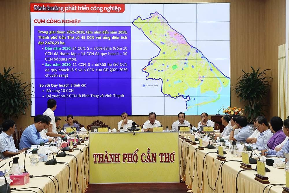 Hé lộ tương lai Cần Thơ đến 2030 qua 6 hành lang kinh tế - xã hội được đề xuất- Ảnh 3.