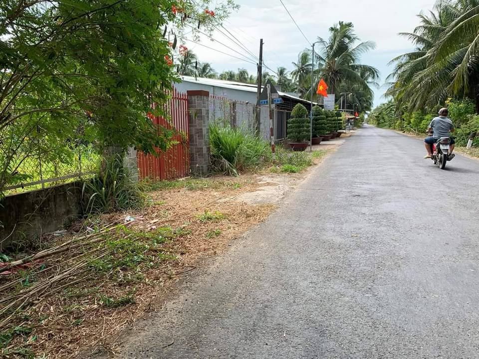 Tin vui dân Vĩnh Long: Sắp thi công tuyến đường hơn 54km vắt ngang tỉnh Trà Vinh cũ- Ảnh 3.