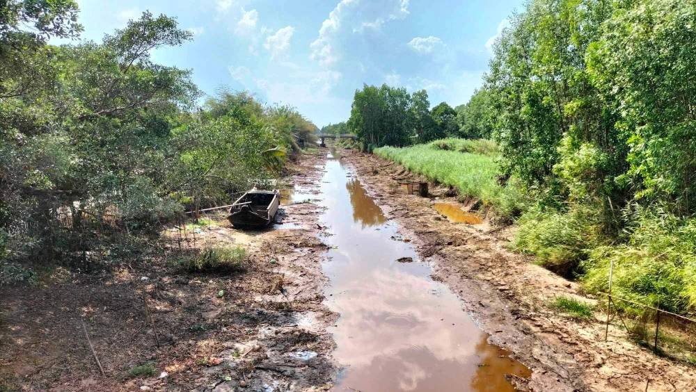 Một dự án hơn 5.300 tỷ đồng dẫn nước từ sông Hậu đang được Cà Mau xem xét- Ảnh 1.