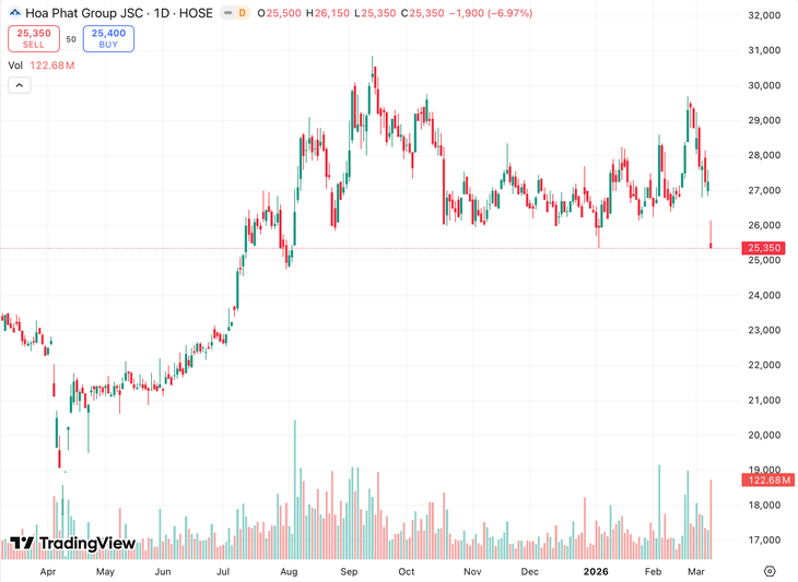Con trai tỷ phú Trần Đình Long đăng ký mua 50 triệu "cổ phiếu quốc dân"- Ảnh 2.