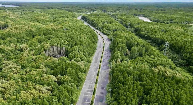 TP.HCM chấp thuận lập đề xuất nâng cấp đường Rừng Sác lên 10 làn xe, vốn hơn 19.000 tỷ đồng- Ảnh 1.