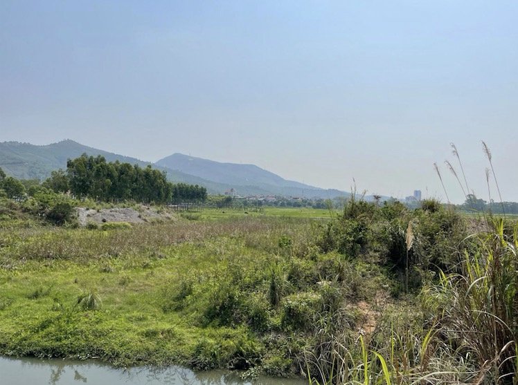 Quảng Ninh “điểm danh” 68 dự án vướng mắc kéo dài, yêu cầu xử lý dứt điểm trong năm 2026- Ảnh 1.