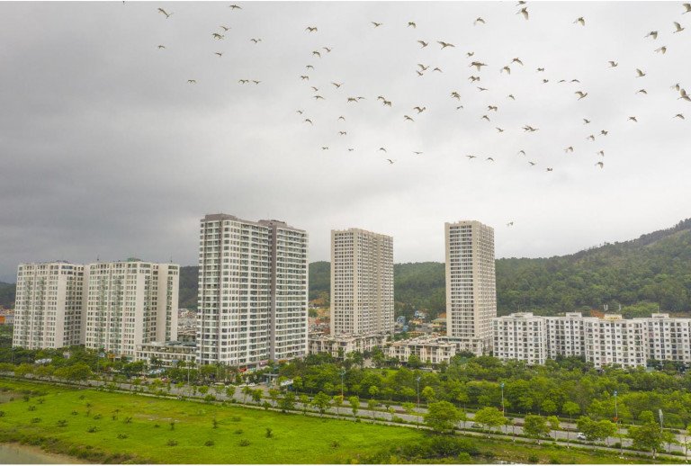 Quảng Ninh “điểm danh” 68 dự án vướng mắc kéo dài, yêu cầu xử lý dứt điểm trong năm 2026- Ảnh 2.