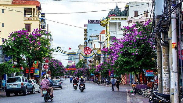 Hải Phòng chấp thuận 3 doanh nghiệp thực hiện thí điểm nhà ở thương mại- Ảnh 2.